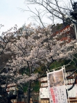 紀三井寺