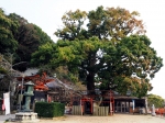 紀三井寺