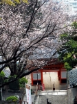 紀三井寺