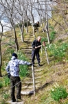 高津子山を桜の山に