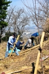 高津子山を桜の山に