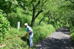 高津子山を桜の山に