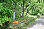 高津子山を桜の山に