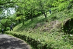 高津子山を桜の山に