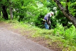 高津子山を桜の山に