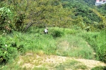 高津子山を桜の山に