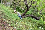 高津子山を桜の山に