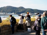 万葉の故地　和歌の浦を写す