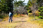 高津子山を桜の山に