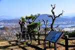 高津子山を桜の山に