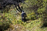 高津子山を桜の山に