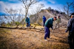 高津子山を桜の山に