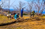 高津子山を桜の山に