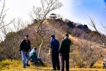 高津子山を桜の山に