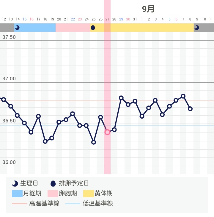 高温期 12日目