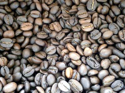 コーヒー豆グァテマラSHB