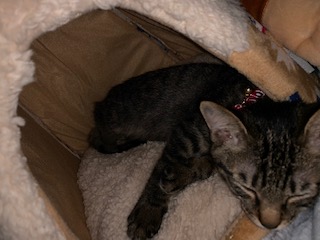 20181114_3358887.jpg