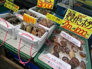 20190307_3468128.jpg