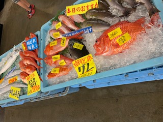 20190307_3468130.jpg