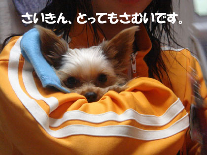 寒い夜