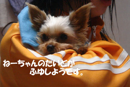 可愛がられる
