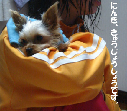 嬉しい