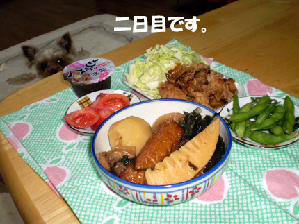 ちょこです。
