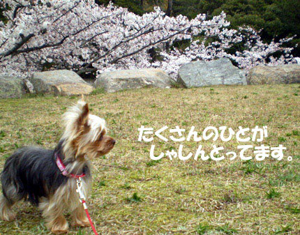 いい匂いがする