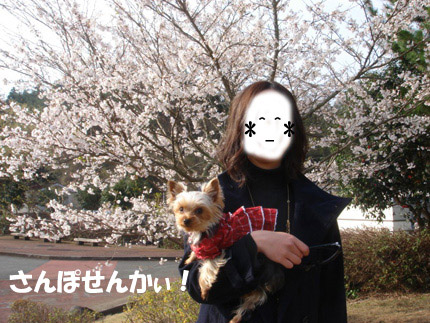 古賀SA