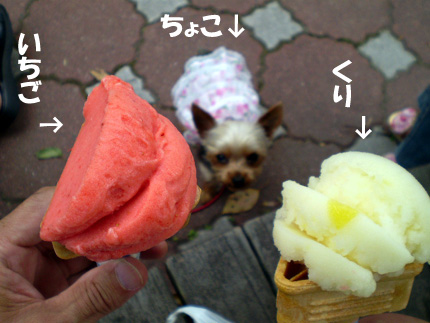 マダ食べるのか!
