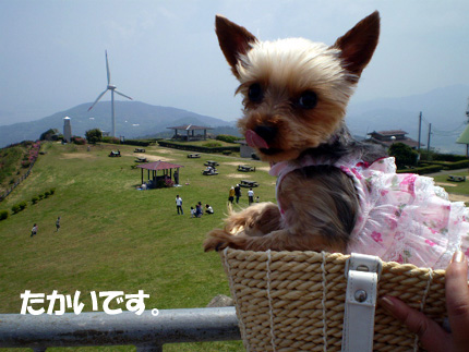 広いトコ来ました
