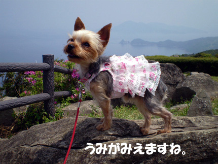 父がカーテンみたいな服って。