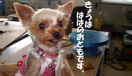 ¥ê¥Ý¡¼¥È¤·¤Þ¤¹¡£