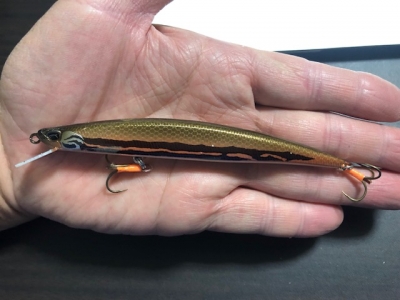 正影 SLIM 120F（鬼鱒）： | Fishing Intelligence【絶対釣果主義】