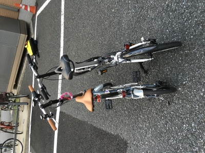 mintとcaracle5