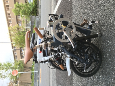 mintとcaracle6