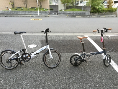 mintとcaracle1