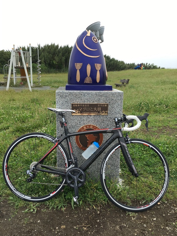 マグロと大根