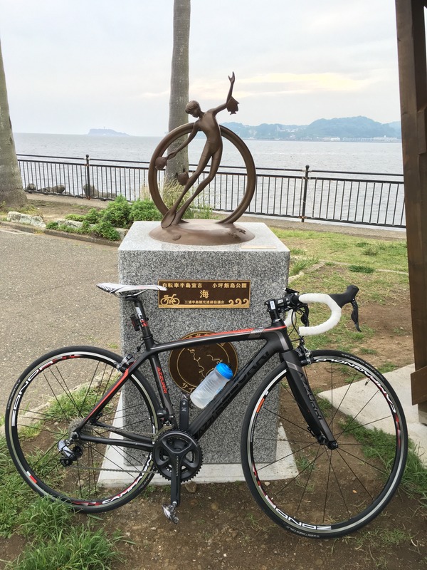 海