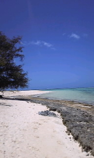 100413_1250~030001.jpg