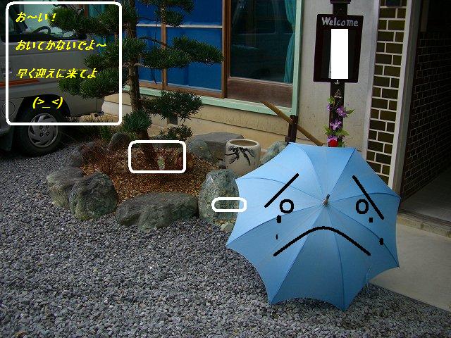 お客様