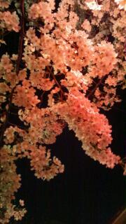 20120408_221957.jpg