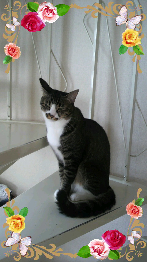 2010091408310000.jpg