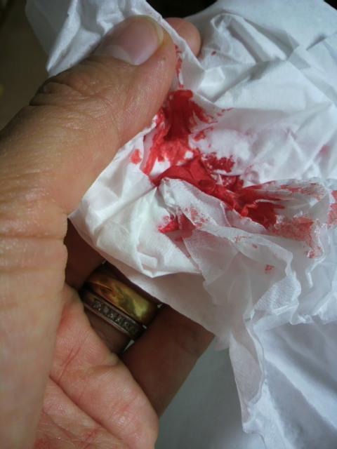 2010100821440000.jpg