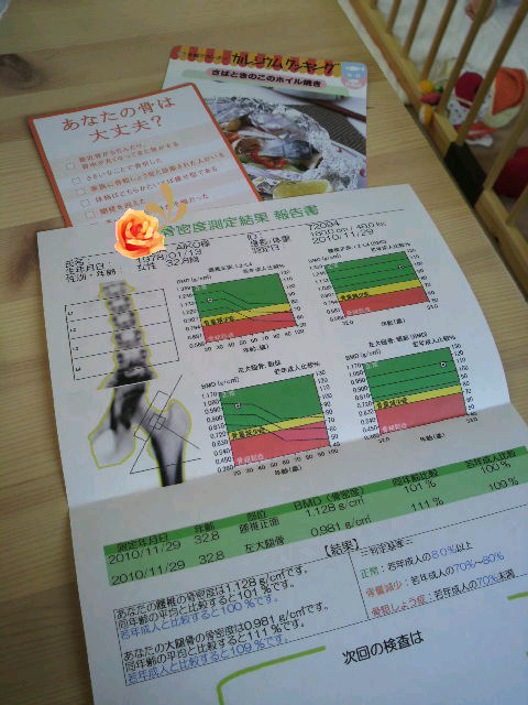 2010112911400000.jpg