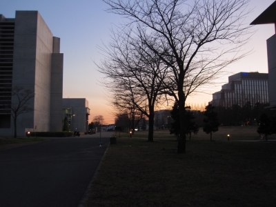 IMG_4716.JPG