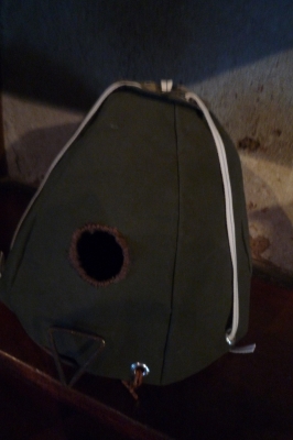 小鳥のテント