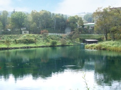 Lunker-pond