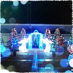 2012-11-29-00-05-44_deco.jpg