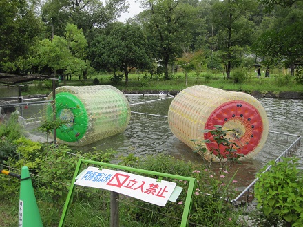 昭和村006